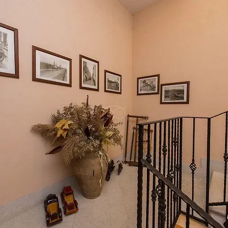 L'angolino Della Nonna Castelluzzo